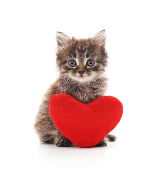Kitten met speelgoed hart. — Stockfoto