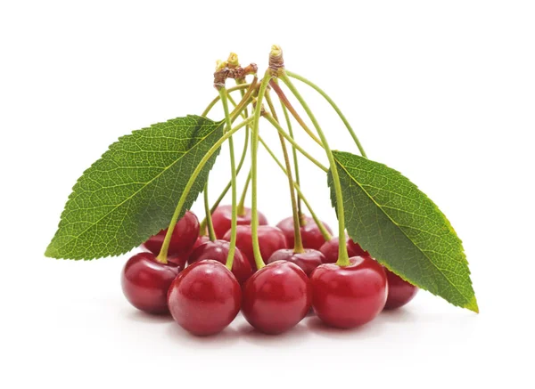 Cerezas con hoja . —  Fotos de Stock