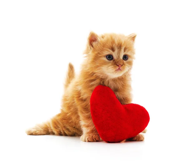 Gatito con corazón de juguete . — Foto de Stock