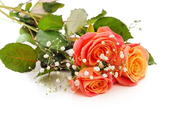 Bouquet di rose rosa. — Foto Stock