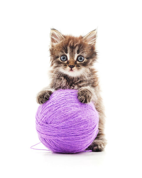 Kitten with a ball.