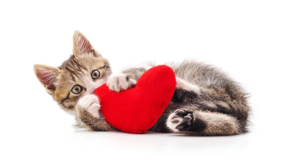 Gatito con corazón de juguete . — Foto de Stock