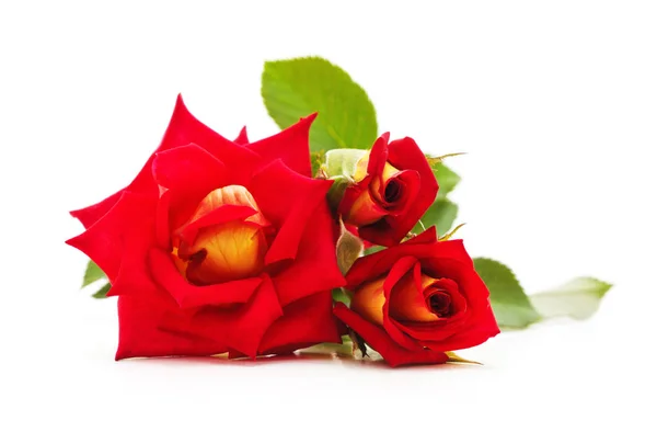 Rosas vermelhas bouquet . — Fotografia de Stock