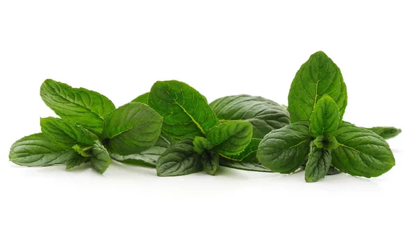 Leaves of green mint. — Stock Photo, Image