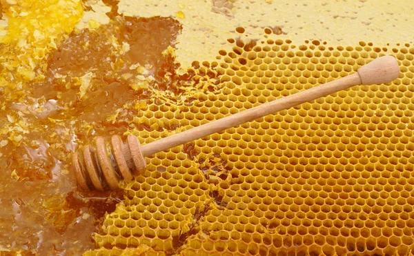 Honey dipper on honeycomb. — Stock Photo, Image