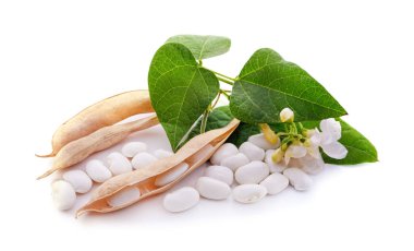 Bakladaki beyaz fasulyeler.