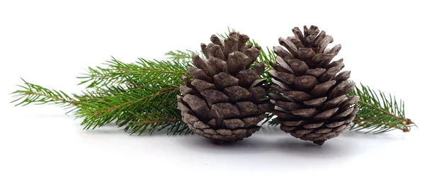 Kegels en kerstboom. — Stockfoto