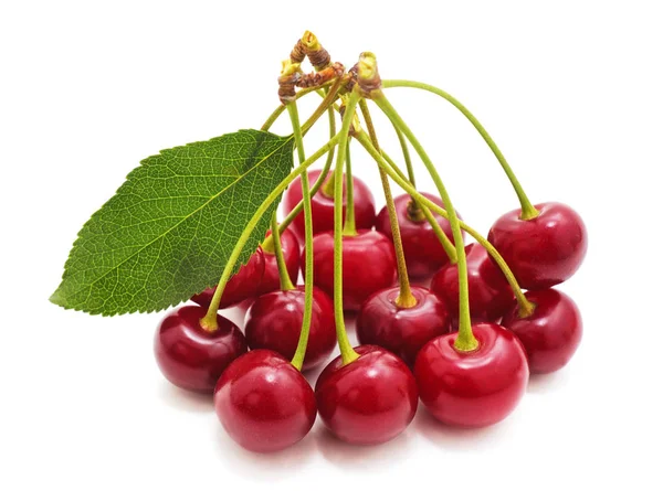 Cerezas con hoja . —  Fotos de Stock