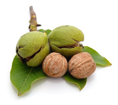 Yapraklı yeşil fındık.