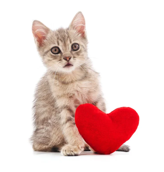 Kitten met speelgoed hart. — Stockfoto