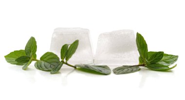 Beyaz arkaplanda izole edilmiş yeşil nane yaprakları.