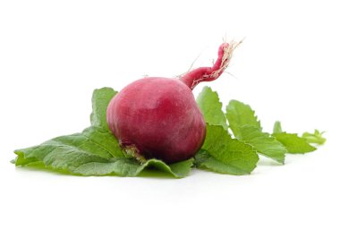 Turp ve yapraklar beyaz arkaplanda izole edilmiş.