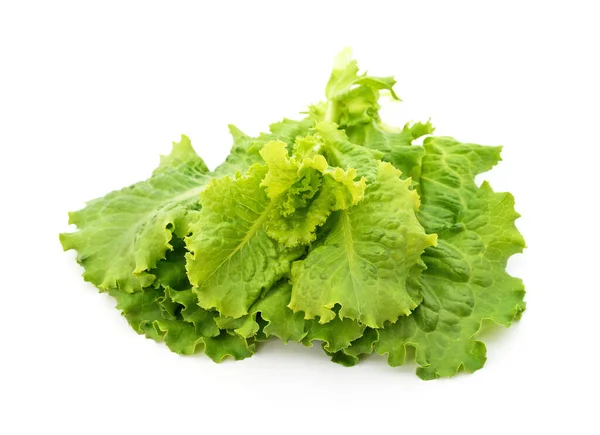Fresh Lettuce Leaves Isolated White Background — Stock Photo, Image