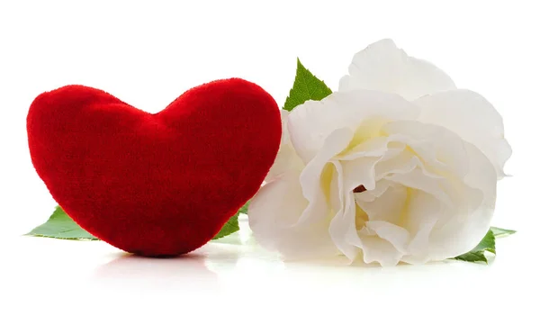 White Rose Heart Isolated White Background — Stock Photo, Image