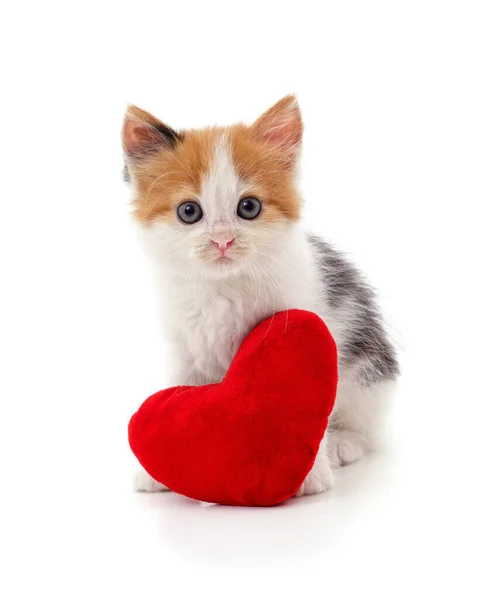 Kitten Met Speelgoed Hart Geïsoleerd Een Witte Achtergrond — Stockfoto