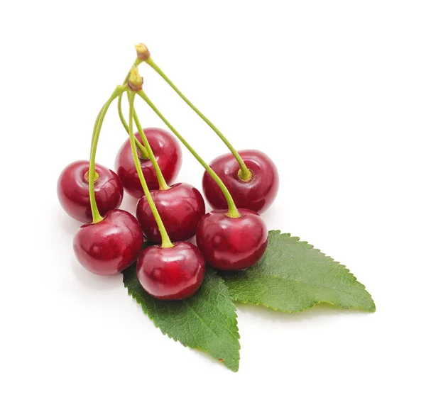 Cerezas Con Hoja Aislada Sobre Fondo Blanco —  Fotos de Stock