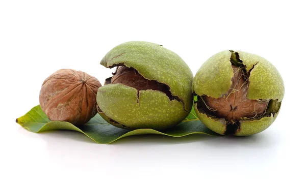 Nueces Verdes Con Hojas Aisladas Sobre Fondo Blanco —  Fotos de Stock