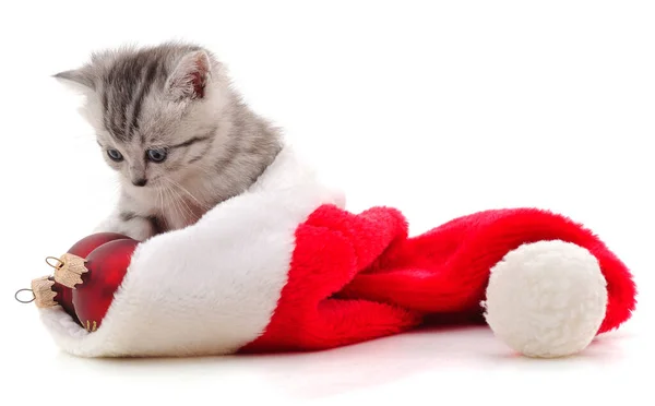 Kitten Christmas Hat Isolated White Background — Stock Photo, Image
