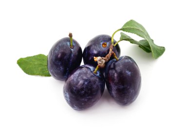 Beyaz arkaplanda izole edilmiş erik yapraklı erik grubu.