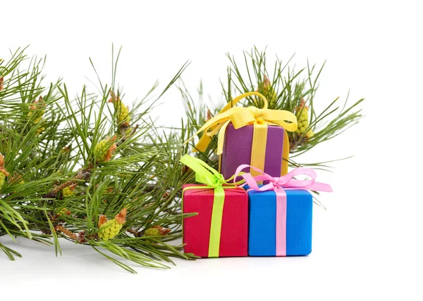 Ramo Árvore Natal Com Cones Presentes Isolados Fundo Branco — Fotografia de Stock