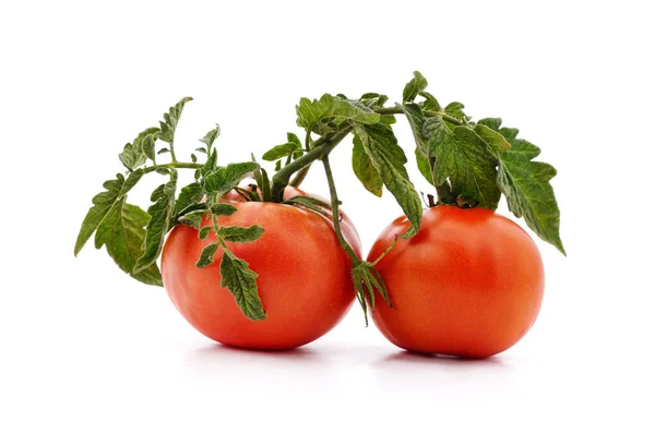 Pomodoro Rosso Primo Piano Vegetale Isolato Uno Sfondo Bianco — Foto Stock