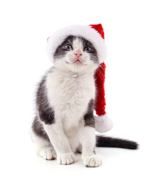 Kitten Klobouku Santa Izolované Bílém Pozadí — Stock fotografie