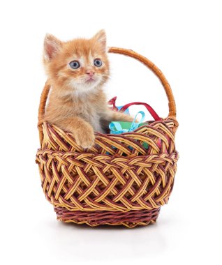 Beyaz arka planda izole edilmiş sepetteki kedi yavrusu..