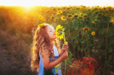 Yaz. Ayçiçeği tarlası güzel çocuklar. Aşk bebeğim. Çocuk eğlence