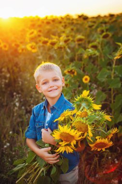 Yaz. Ayçiçeği tarlası güzel çocuklar. Aşk bebeğim. Çocuk eğlence