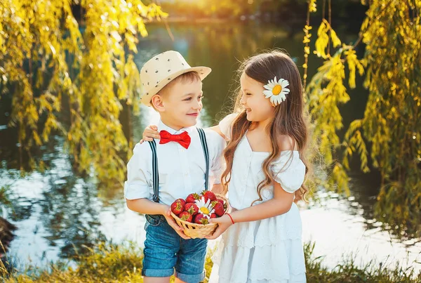 Bambini Fragole Estate Amore Giorno Soleggiato Immagine Stock