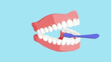 Diş Bakımı - vektör animasyon