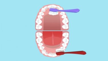 Diş Bakımı - vektör animasyon