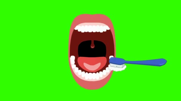 Cuidado Dental Animación Vectorial — Vídeos de Stock
