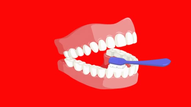 Zahnpflege Vektoranimation — Stockvideo