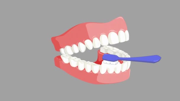 Οδοντιατρική Περίθαλψη Διάνυσμα Κινουμένων Σχεδίων — Αρχείο Βίντεο