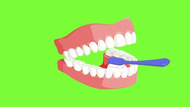 Cuidado Dental Animación Vectorial — Vídeos de Stock