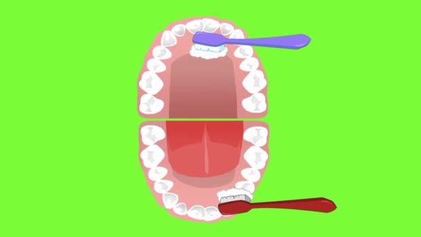 Cuidados Dentários Animação Vetorial — Vídeo de Stock