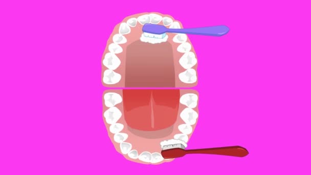 Cuidados Dentários Animação Vetorial — Vídeo de Stock