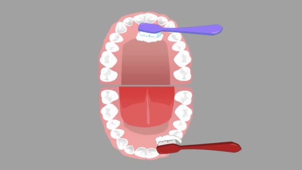 Cuidado Dental Animación Vectorial — Vídeo de stock