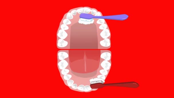 Zubní Péče Vektorové Animace — Stock video