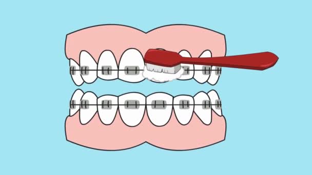 Cuidados Dentários Animação Vetorial — Vídeo de Stock