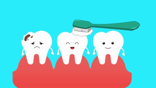 Dental Care Vector Animation — Stock Video
