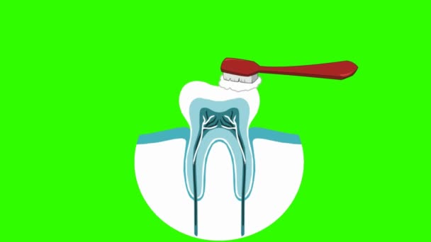 Cura Dentale Animazione Vettoriale — Video Stock