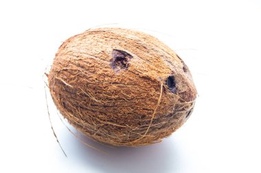 Beyaz arka plan yakın çekim Hindistan cevizi