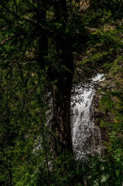 şelale kayaların arasındaki dağlarda