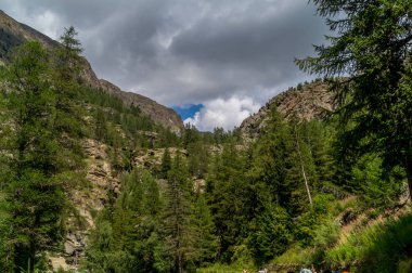 Dağ manzarası, bir yaz günü dağda Panoraması