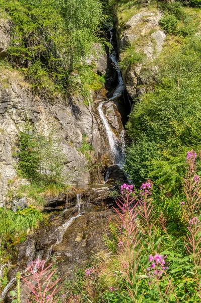 山の風景 夏の日に山のパノラマ — ストック写真