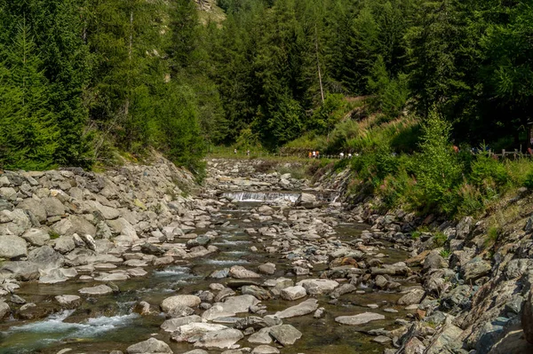 Dağ manzarası, bir yaz günü dağda Panoraması