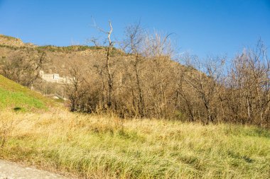 Güneşli bir dağ Panorama