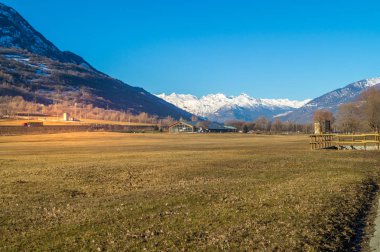 ağaçlar ve mavi gökyüzü ile orman yolu